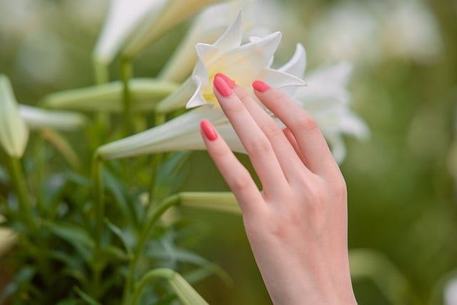 The Ultimate Guide to Taking Care of Your Nails: How to Achieve Beautiful, Healthy Nails